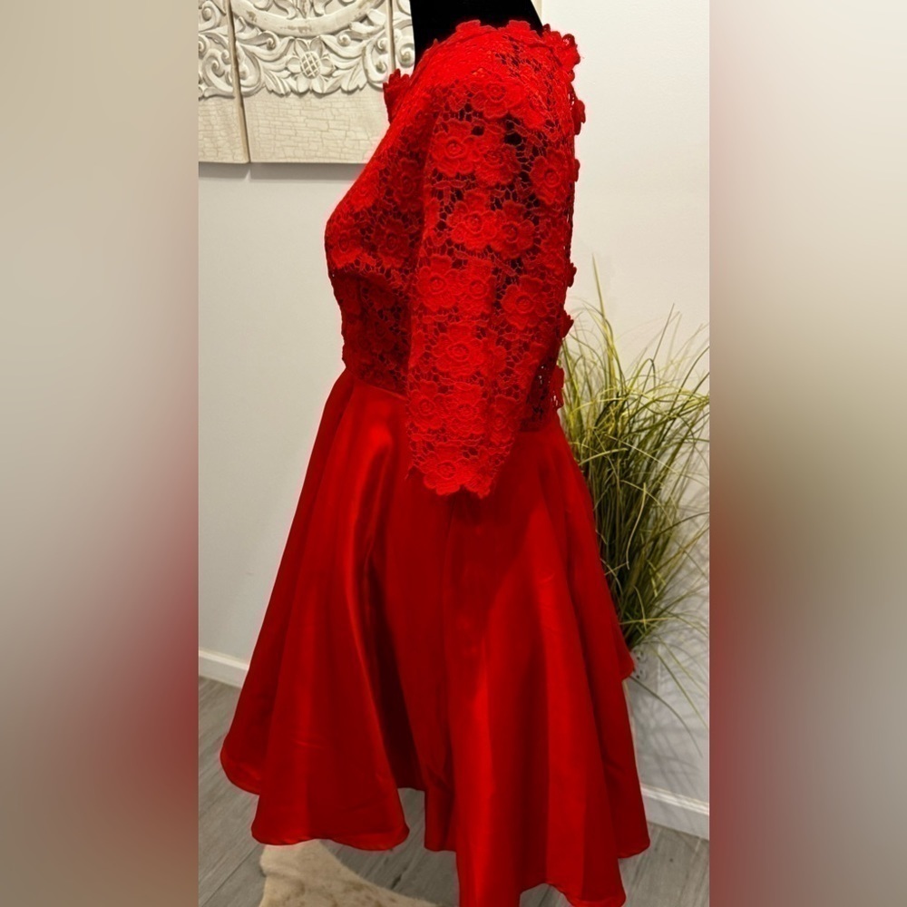 Red Lace and Satin Dress - Picture 10 of 12